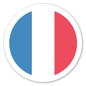 Round French flag sticker