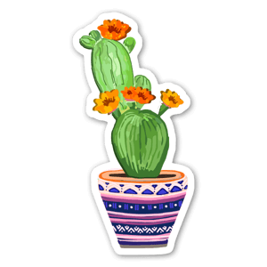 cactus with nice flowers in a pot