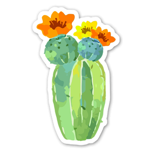 an arty cactus with big flowers