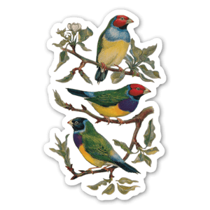 Vintage Birds by Zala Farah