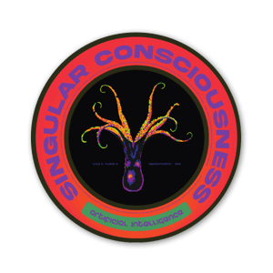 Singular Consciousness sticker