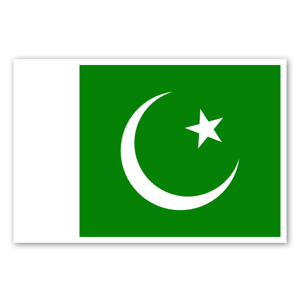 Flag of Pakistan as a sticker 